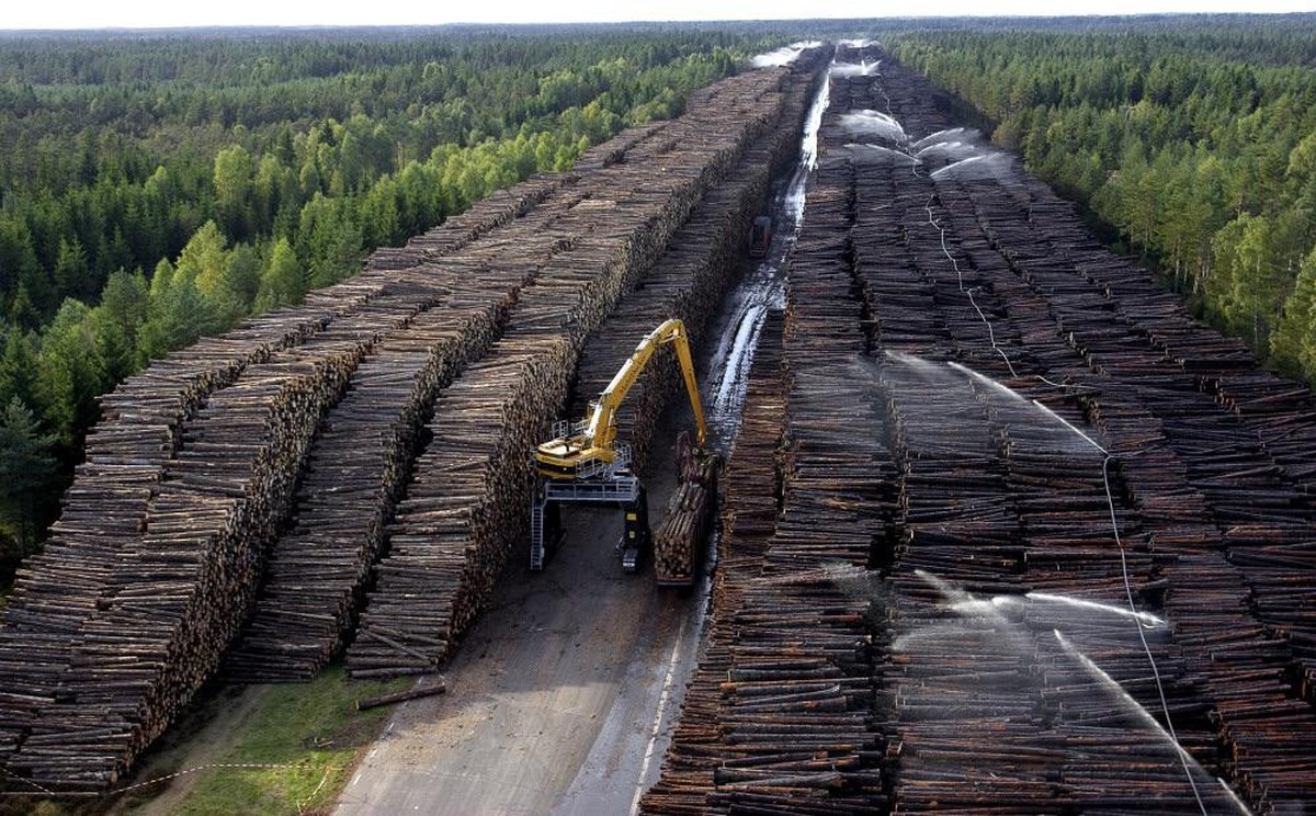 Schweden Holz