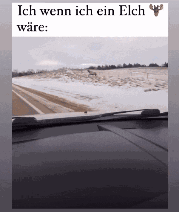 Animiertes GIF