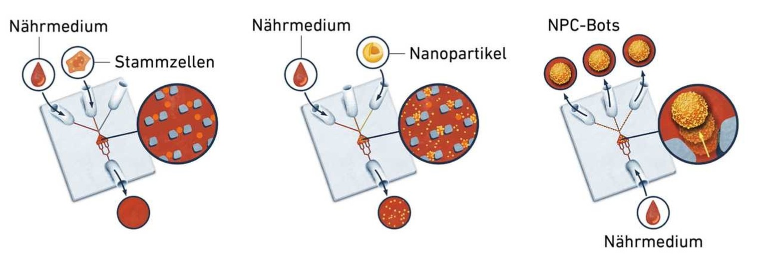 Die grafische Darstellung zeigt, wie auf dem Lab-on-Chip (LoC) Mikroroboter hergestellt werden.