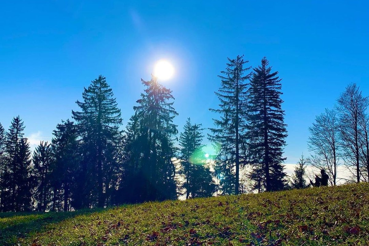 Baschlisgipfel Wanderungen über dem Nebel Schweiz Rauszeit