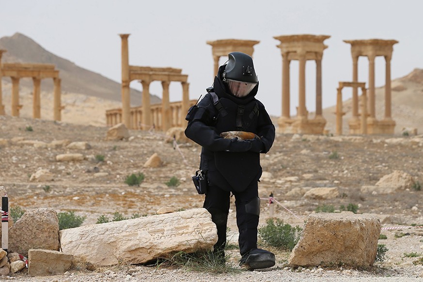 epa05254339 A handout picture made available on 11 April 2016 by the official website of the Russian Defence Ministry shows Russian army sapper demining the territory in the historical part of Palmyra ...