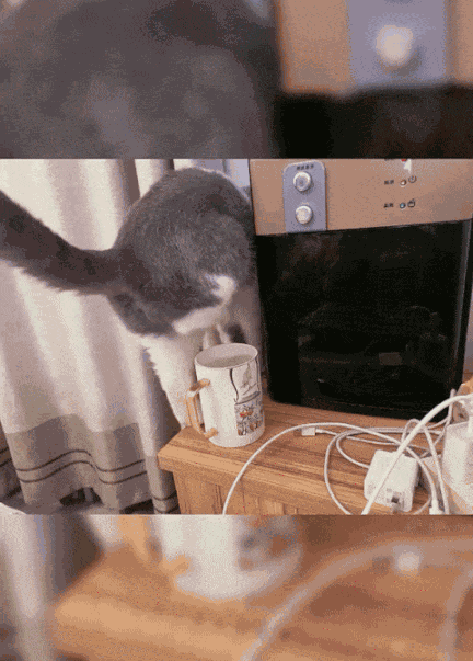 Animiertes GIF