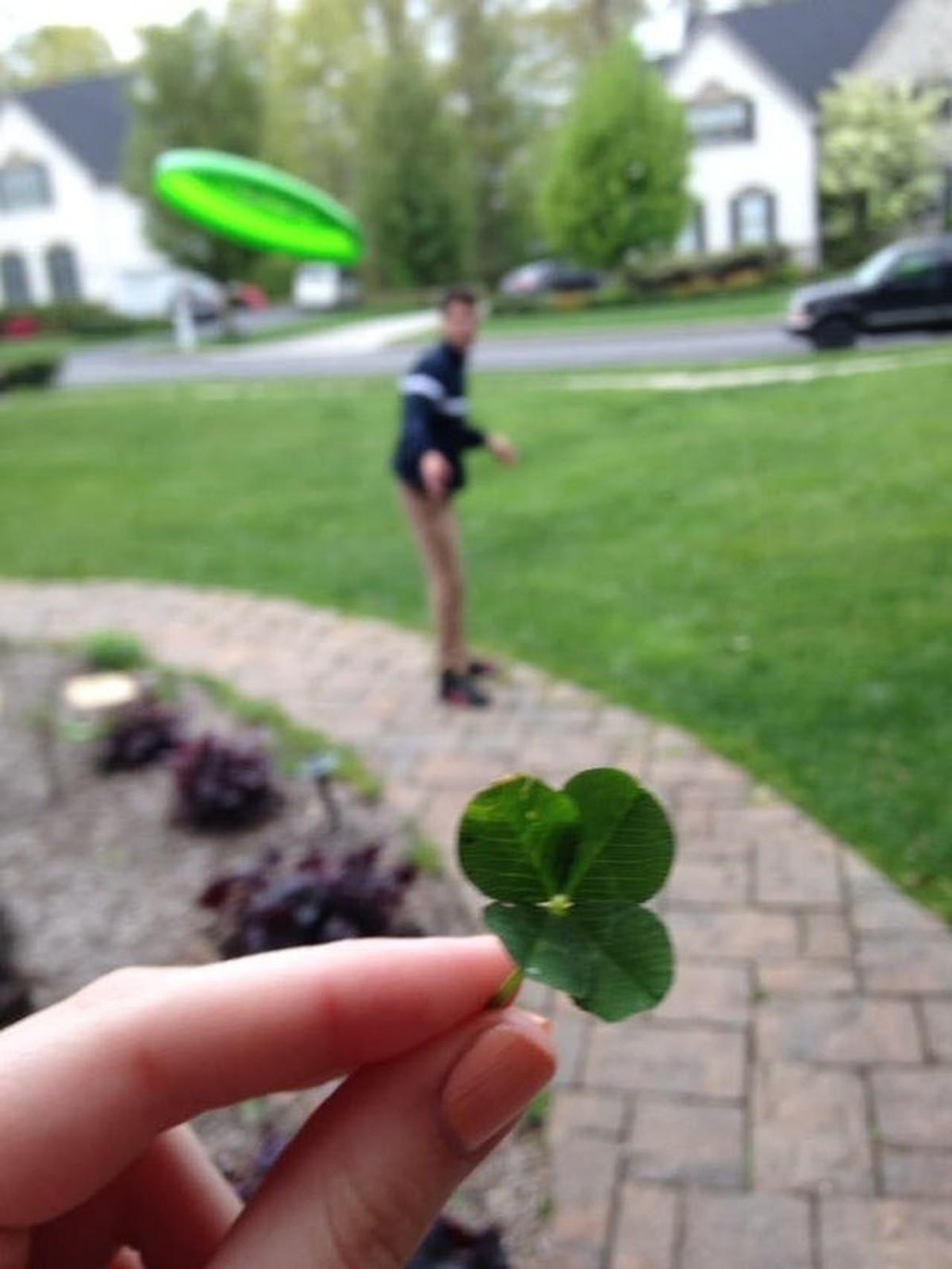 Kleeblatt Frisbee Fail