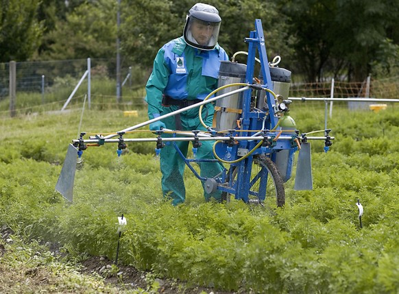 Seit den 70er-Jahren wird Chlorothalonil in der Landwirtschaft eingesetzt. (Symbolbild)