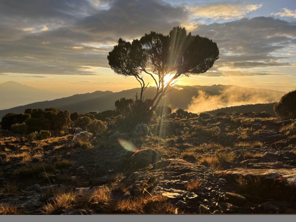 Diese 23 Bilder beweisen, wie unglaublich schön die Natur sein kann\nSonnenuntergang auf dem Kilimanjaro.