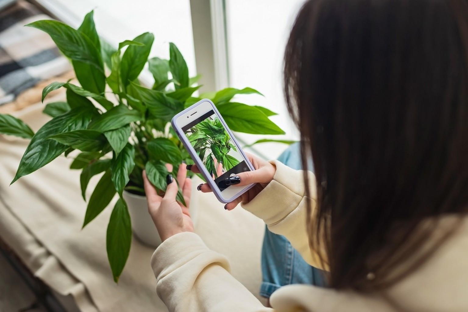 Frau fotografiert Pflanze mit ihrem Smartphone.
