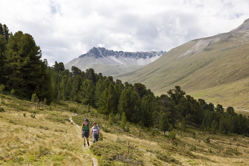 Das Val S-charl ist ein Seitental des Unterengadins.