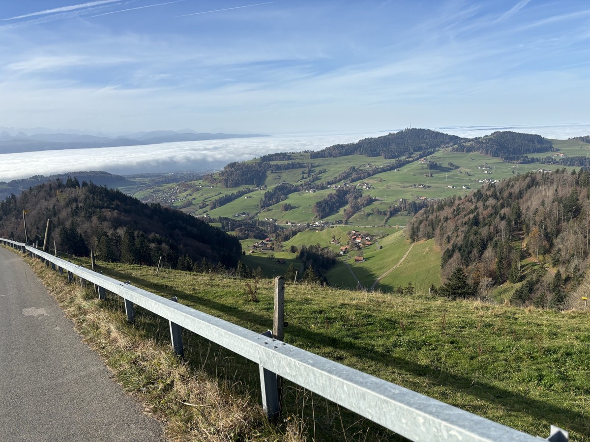 MAZ-Medienwoche Scheidegg Nebelwanderung