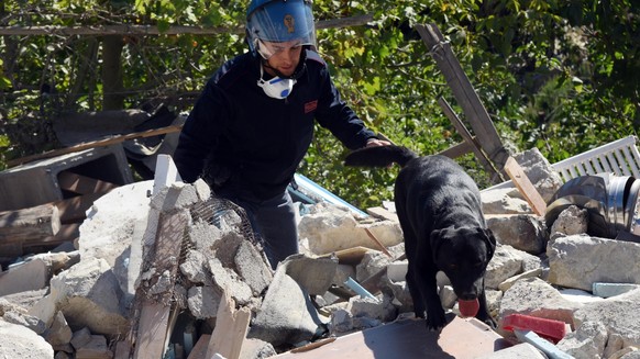 epa05509561 A policeman and his dog, Leo, at work on the rubble of a collapsed building in Pescara del Tronto, center of Italy, 25 August 2016. The provisional death toll from 24 August&#039;s earthqu ...