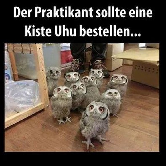 Picdump #7 – Another Mittwoch, another Picdump\nJetzt brauchen sie auch noch einen Koffer voll Mäuse😅