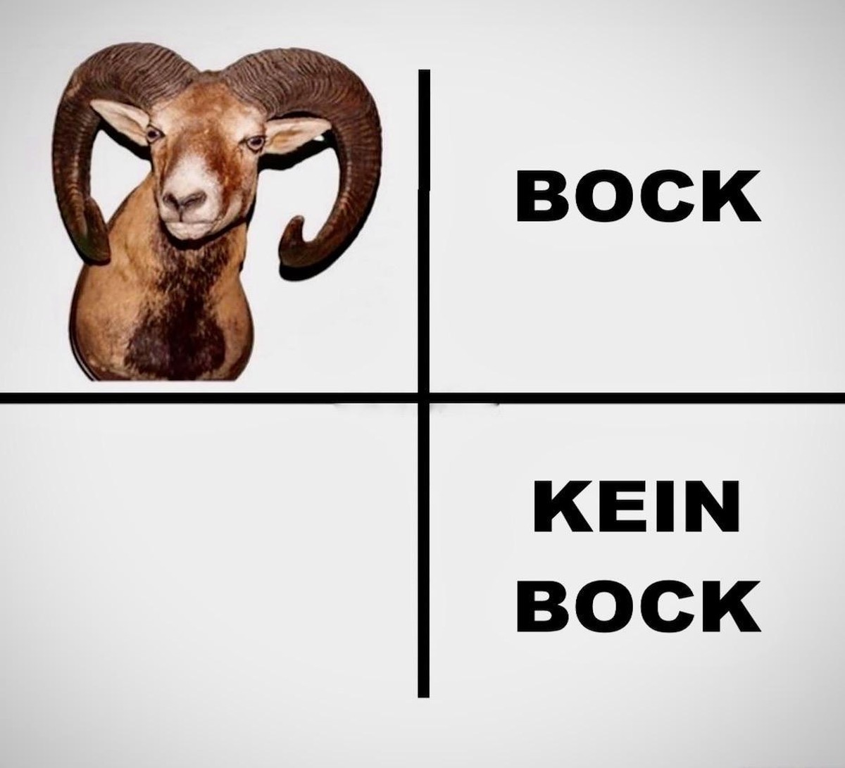 Einsteigen, es geht los! Picdump! рџђ¬
вЃџ вЃџвЃџвЃџ