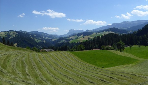 Wer im idyllischen Horrenbach-Buchen lebt, wählt ziemlich sicher SVP.