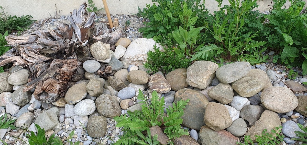 Ast-Steinhaufen Totholz Garten