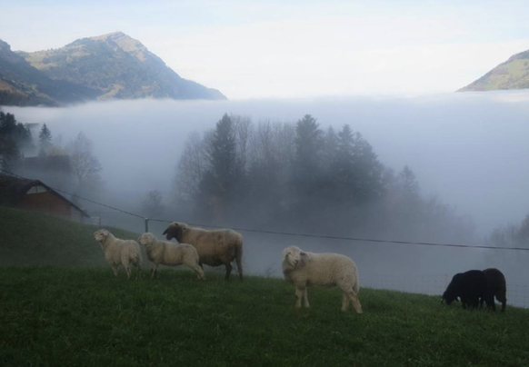 Rauszeit Ferien auf dem Bauernhof Schweiz