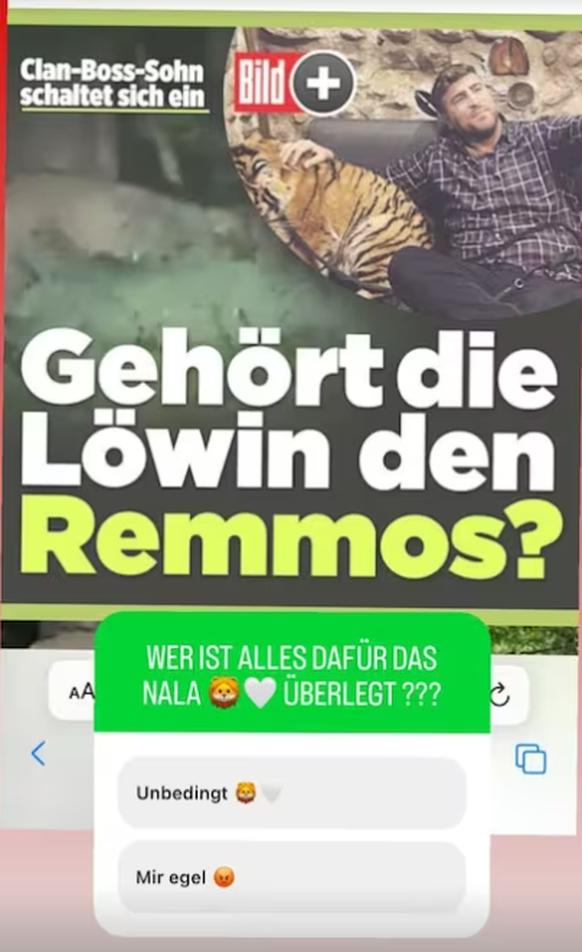 Umfrage und Link zur Boulevard-Zeitung «Bild».