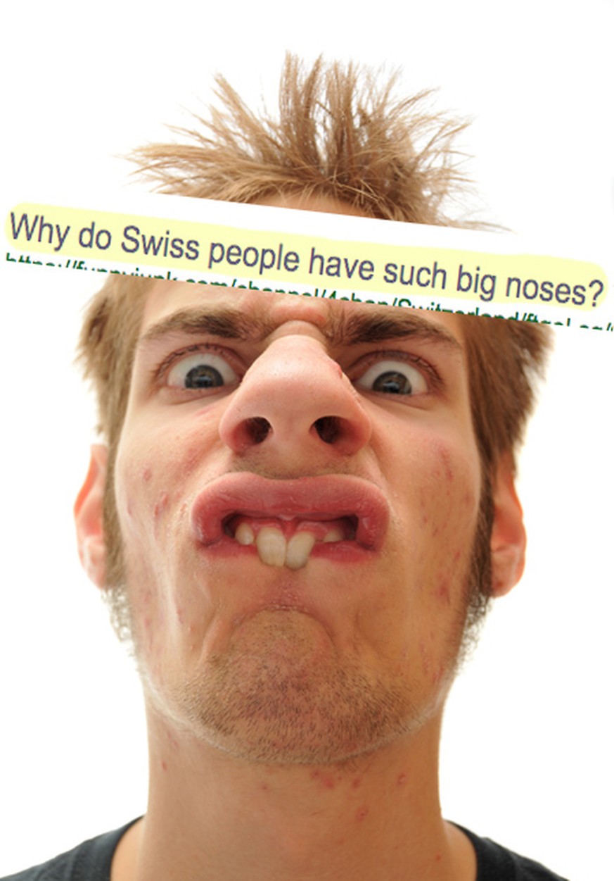 «Why do Swiss people have big noses?» – und andere wichtige Internet-Fragen zu der Schweiz