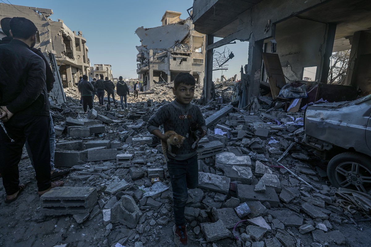 epa11803413 A Palestinian boy carries cats between the rubble of destroyed houses following an Israeli air strike in Al Maghazi refugee camp, central Gaza Strip, 03 January 2025. According to reports  ...