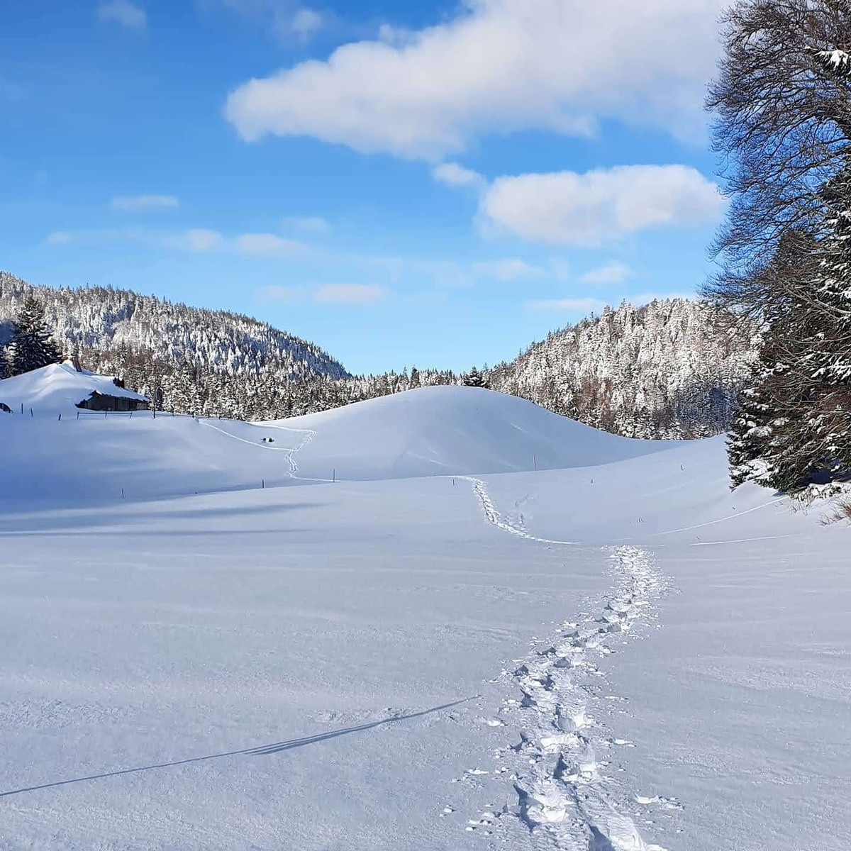 Schneeschuhtour für anfänger Rauszeit Parcours de l'Archette