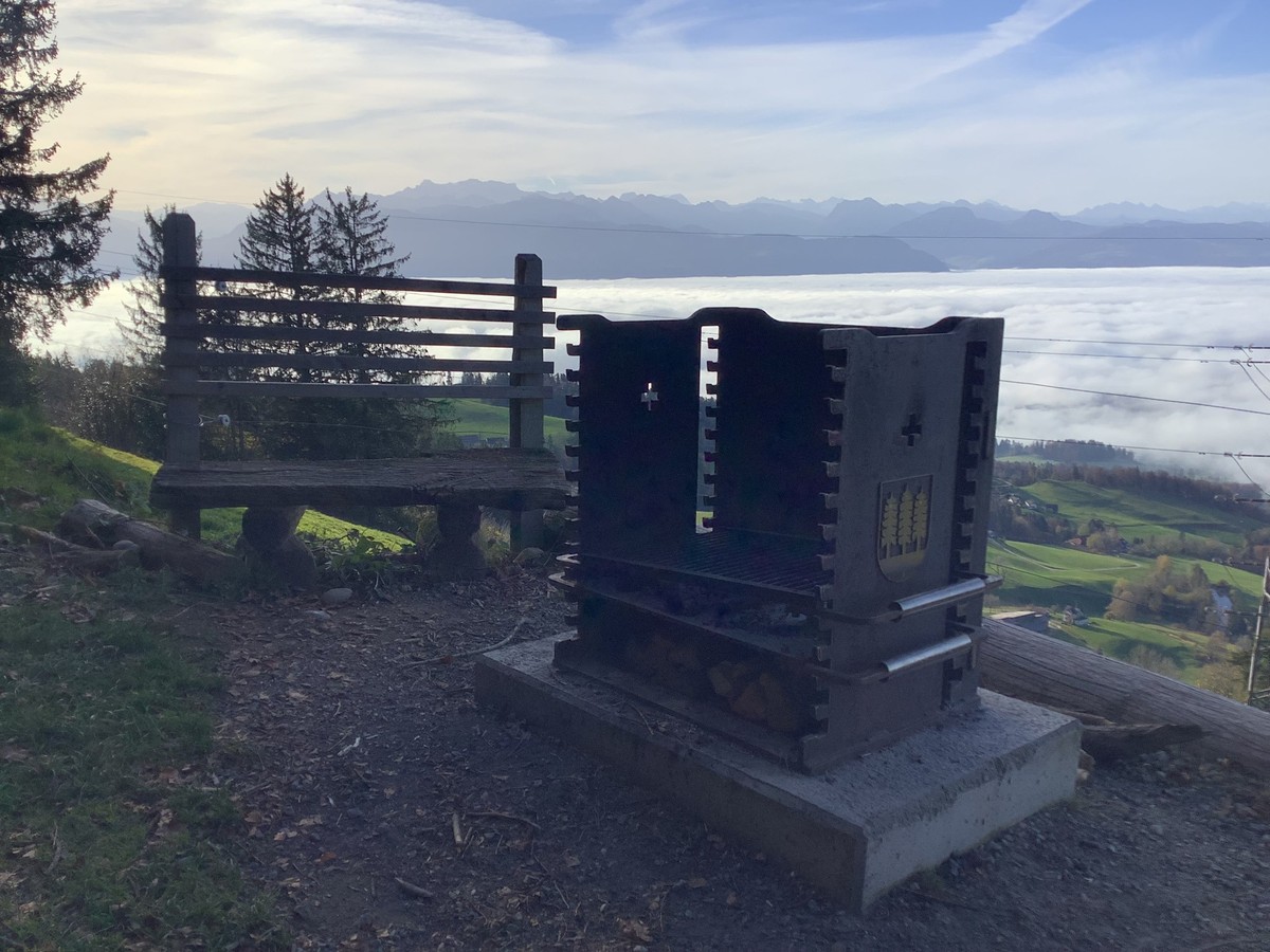MAZ-Medienwoche Wanderungen Nebel