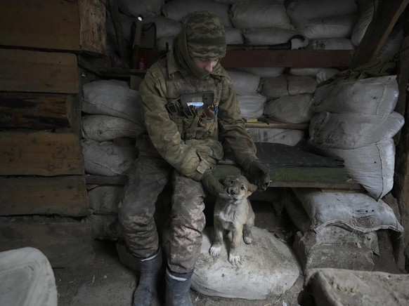 Ein ukrainischer Soldat streichelt einen zurückgelassenen Hund in der Region Luhansk im Osten der Ukraine, 28. Januar 2022.