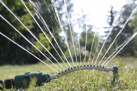 Wasserverbrauch DEUTSCHLAND, MV, D�rre, trockener rasen im Garten, Rasen mit Sprinklersystem bew�ssern, Wassernutzung Mecklenburg-Vorpommern Deutschland