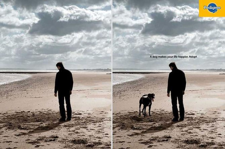 Werbung pedigree