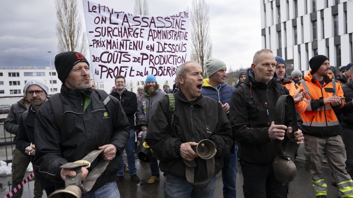 Bauernverband-fordert-h-here-Preise-f-r-Landwirtschaftsprodukte