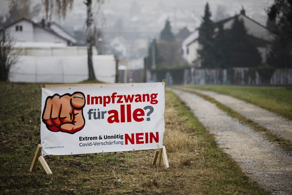 Ein Abstimmungsplakat gegen das Covid-19-Gesetz steht auf einer Wiese, am Freitag, 12. November 2021 in Seebach. (KEYSTONE/Michael Buholzer)