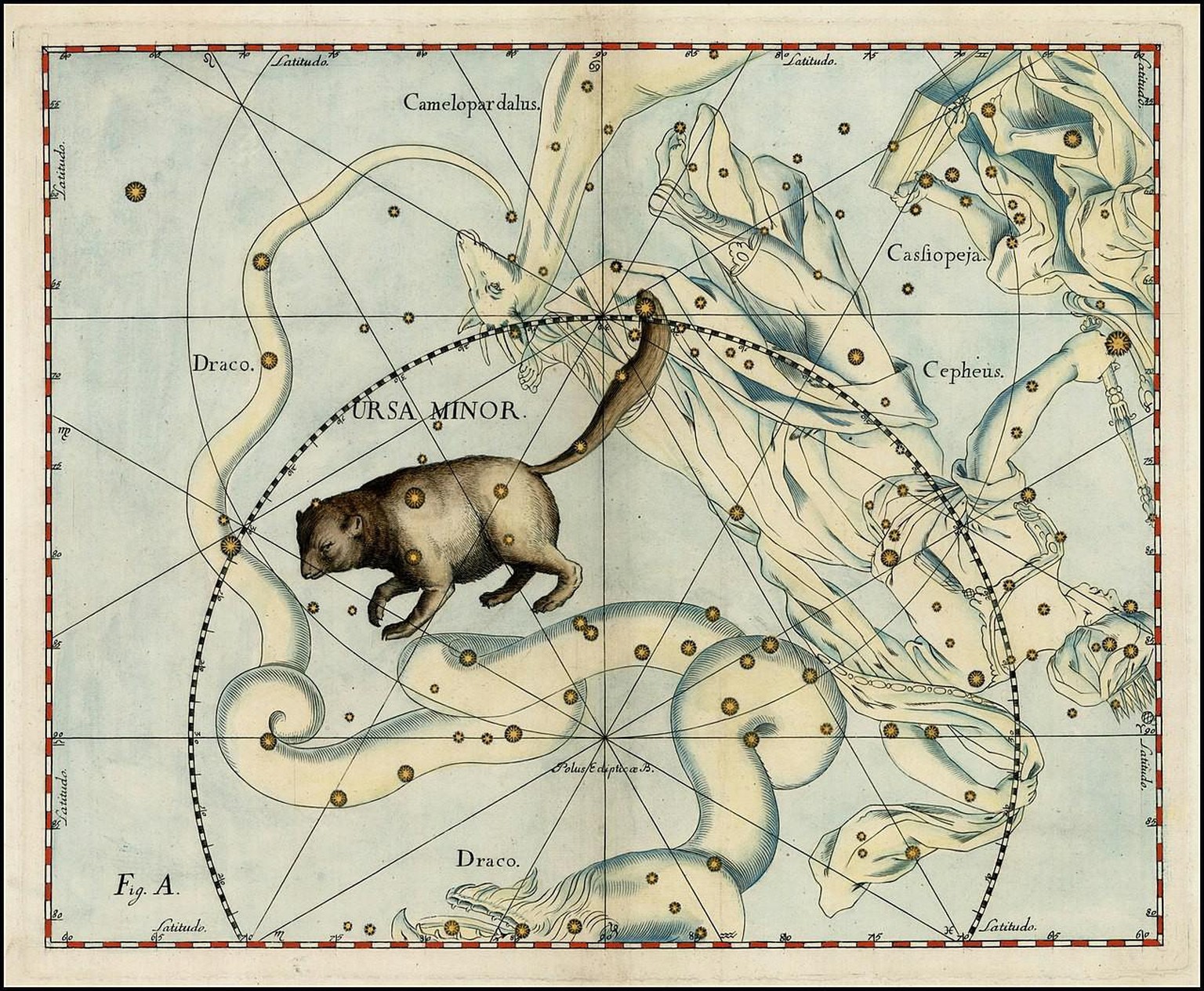 Darstellung des Kleinen Bären (Ursa Minor) in der «Uranographia» des Danziger Astronomen Johannes Hevelius (1611–1687).