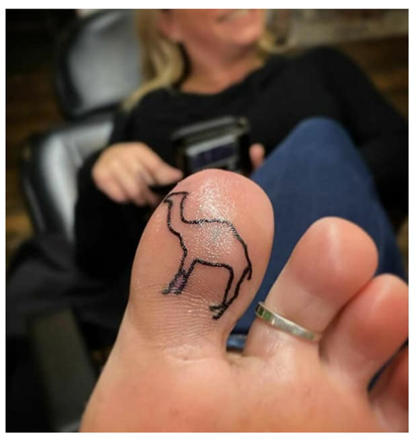 Picdump 138 тАУ Memes ohne Bla Bla\nZum Tattoo gibt es gratis eine Leggins ЁЯдн