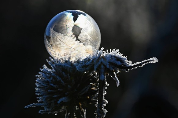 Gefrorene Blase in der Natur. Eine sch�ne Makroaufnahme der Natur im Winter. Konzept f�r Umwelt, Wasser und Frost. Gefrorene Blase in der Natur. Eine sch�ne Makroaufnahme der Natur im Winter. Konzept  ...