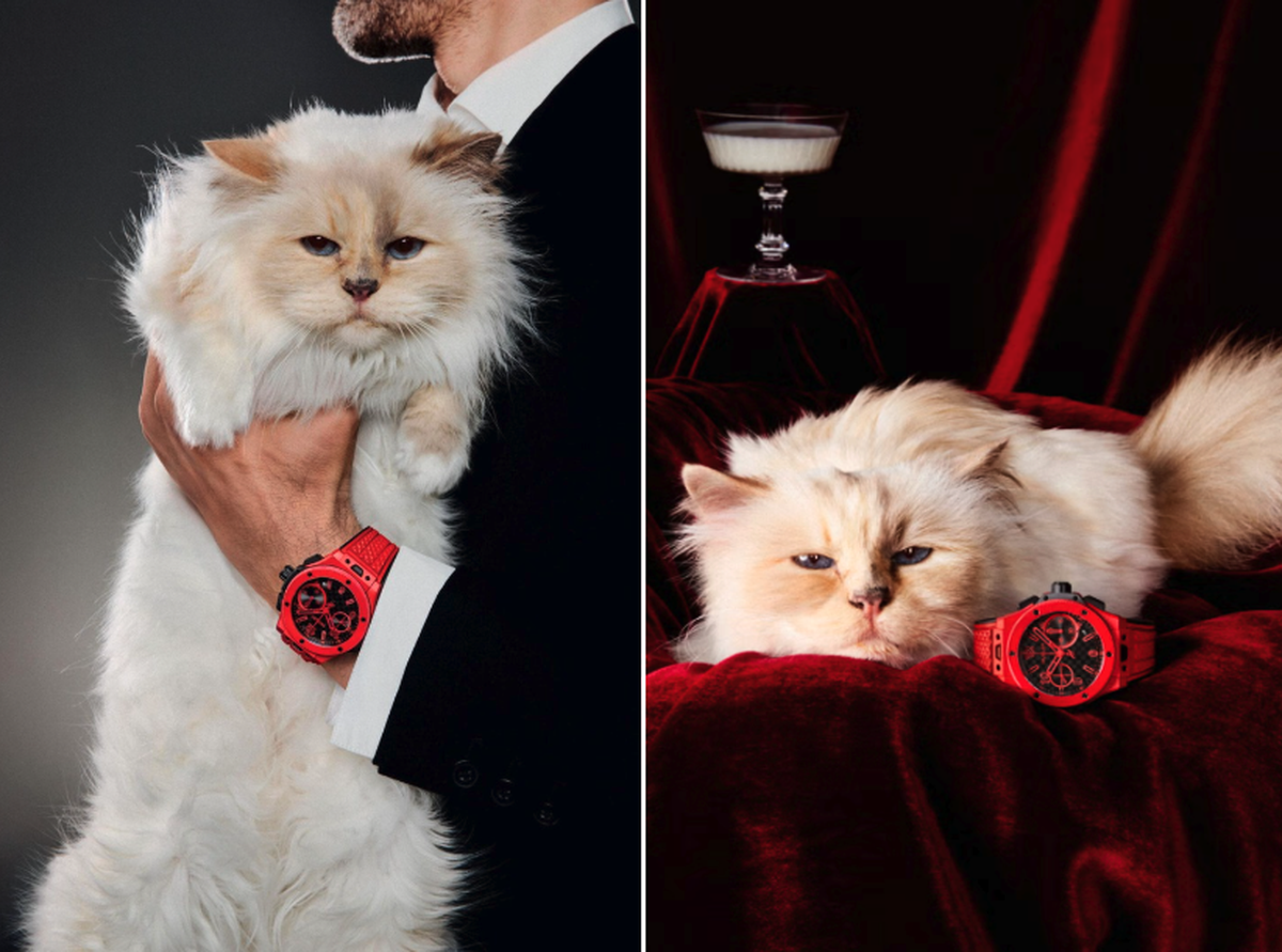 Choupette pour les 20 ans de la collection Big Bang de Hublot.
