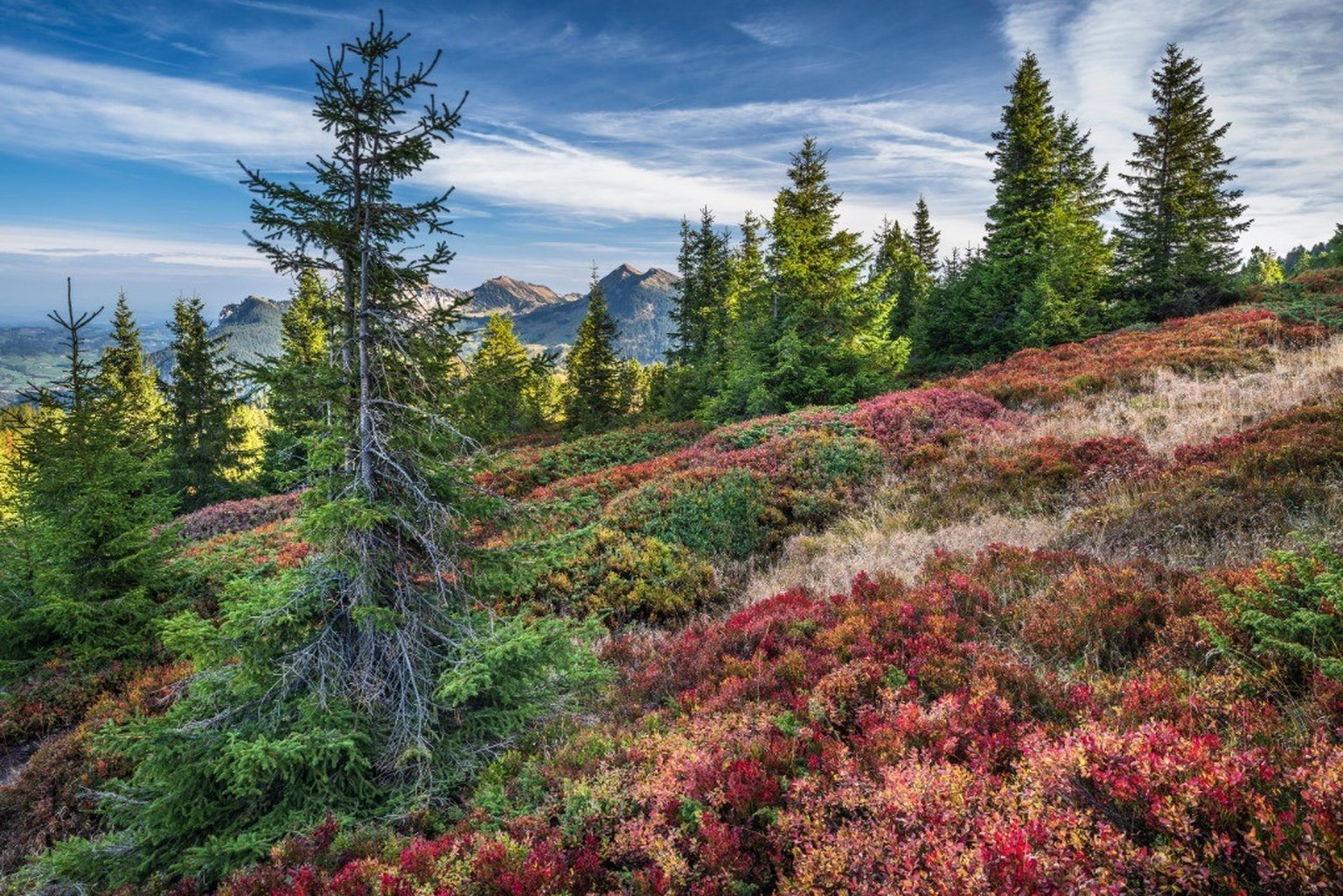 Farbzauber im Herbst