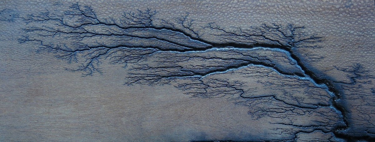 Lichtenberg branching figure in leopardwood.
https://commons.wikimedia.org/w/index.php?curid=45387631