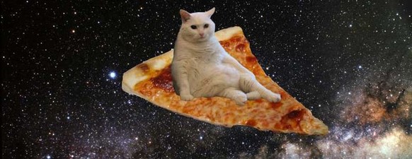 Katze, pizza