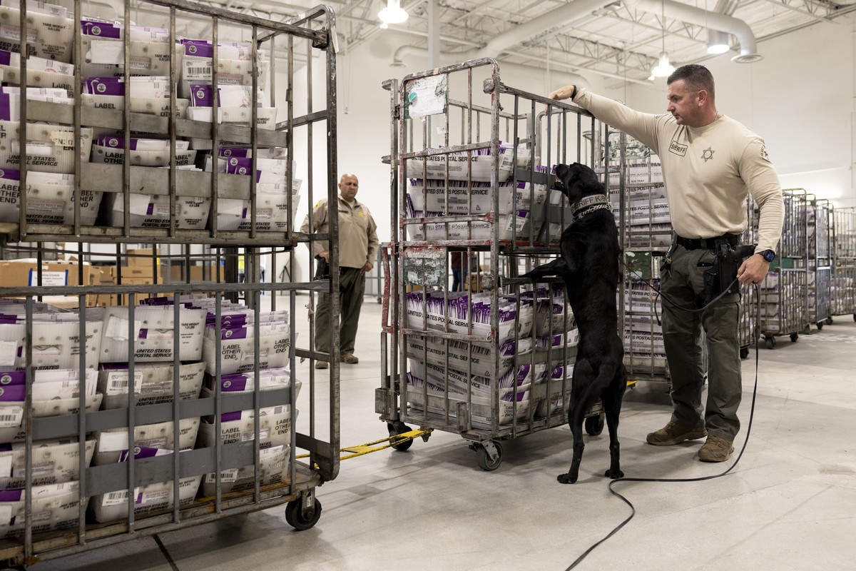 A sheriff deputy has his dog search for potential harmful substances in ballots at Los Angeles County Election Center on Election Day, Tuesday, Nov. 5, 2024, in City of Industry, Calif. (AP Photo/Etie ...