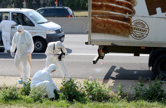 71 Menschen kamen in dem Kühllaster auf einer österreichischen Autobahn ums Leben – Ermittler am Tatort auf der Ostautobahn.