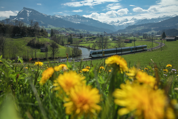 Naturparadies bei Nesslau-Neu St.Johann.