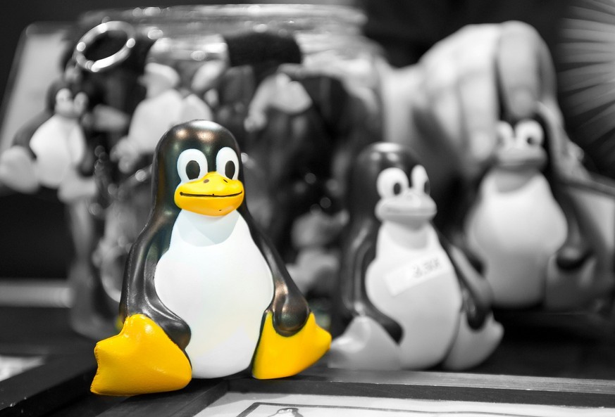 Hat es schwer gegen die Grossen: das Linux-Maskottchen Tux.