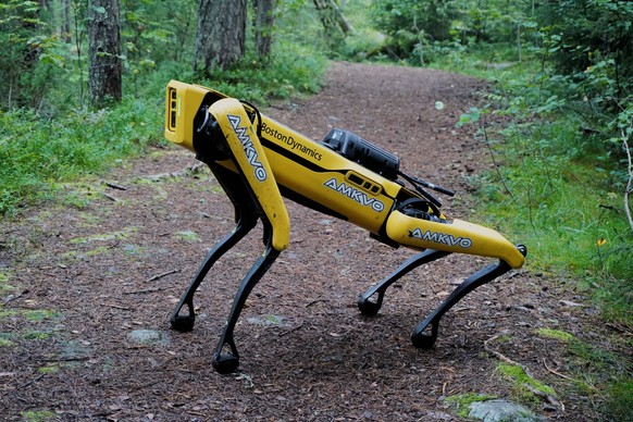 Der Roboterhund «Spot» von Boston Dynamics.