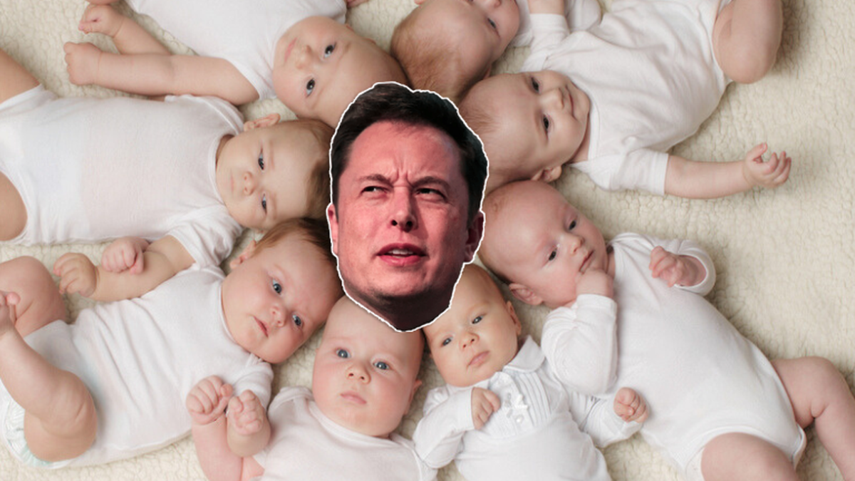 Pour Elon Musk, la baisse du taux de natalité est une catastrophe. Il a lui-même 11 enfants.