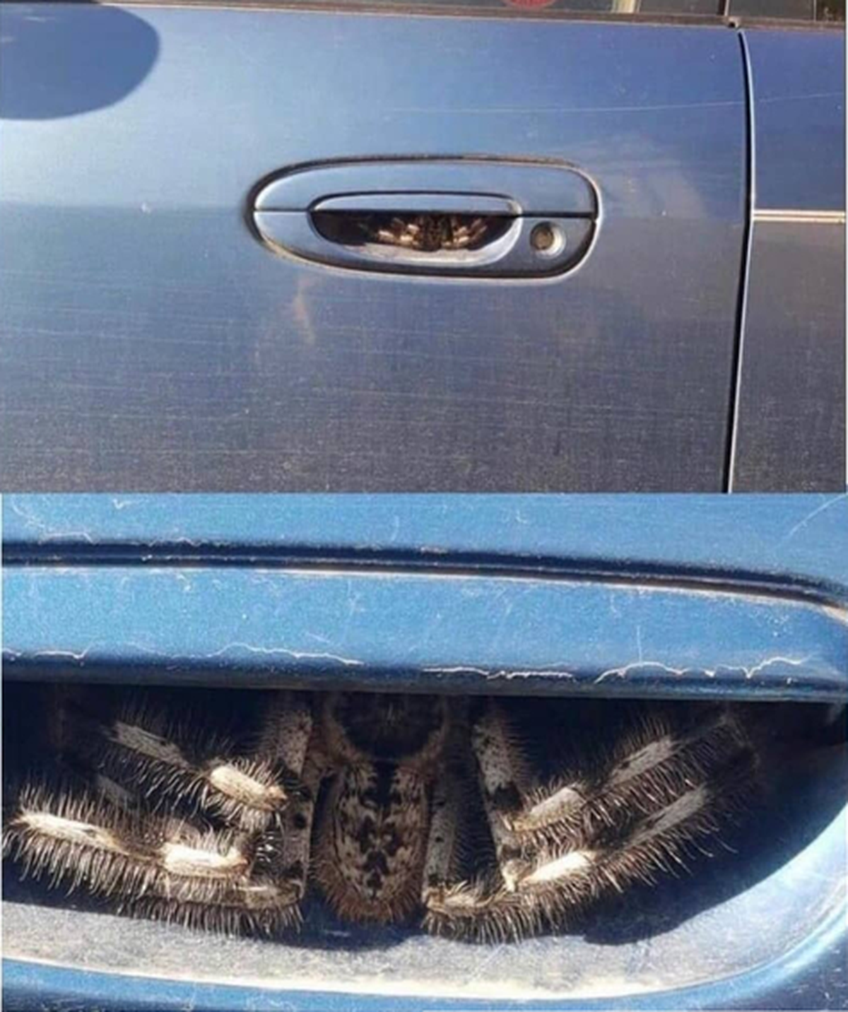 Unheimliche Bilder, in denen die Natur wieder mal ihre dunkelste Seite offenbart