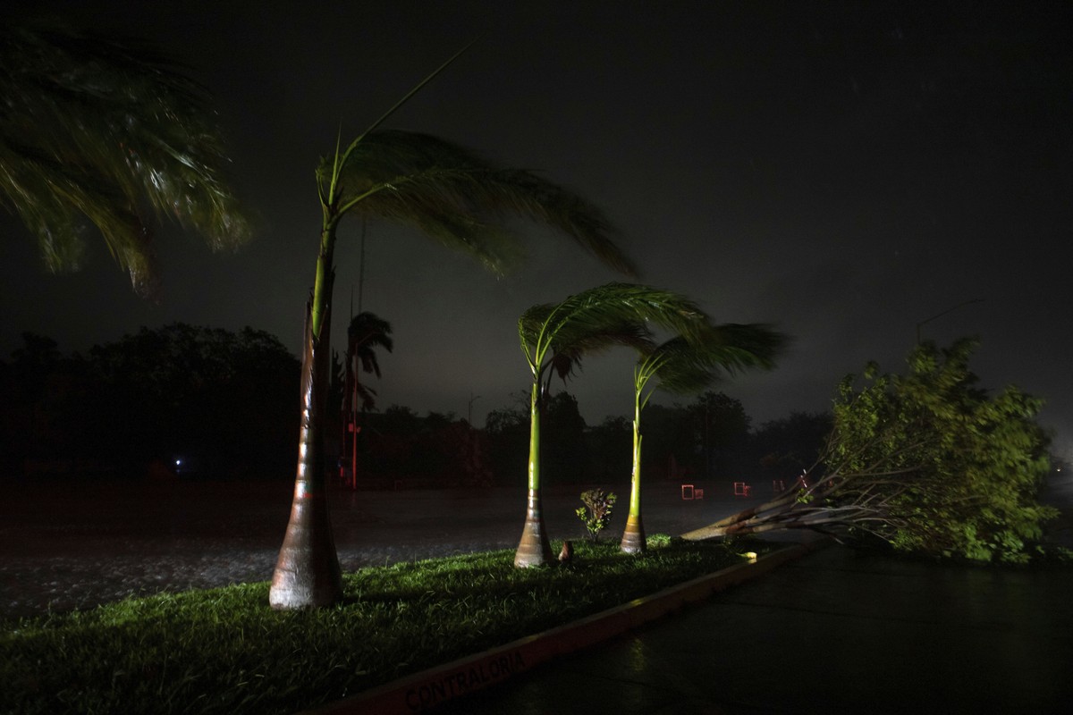 Hurricane Rick's winds blow palms trees in Lazaro Cardenas, Mexico, Monday, Oct. 25, 2021. Hurricane Rick roared ashore along Mexico's southern Pacific coast early Monday with winds and heav ...