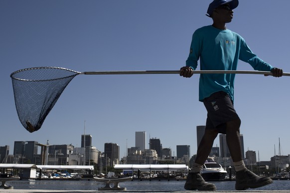 FILE - In this April 7, 2016 file photo, a worker collects floating trash from Guanabara Bay during the inauguration of the renovated Marina da Gloria in Rio de Janeiro, Brazil. Andy Hunt, the head of ...