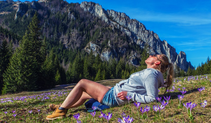 Krokusse blühen in tieferen Lagen der Schweiz bereits.