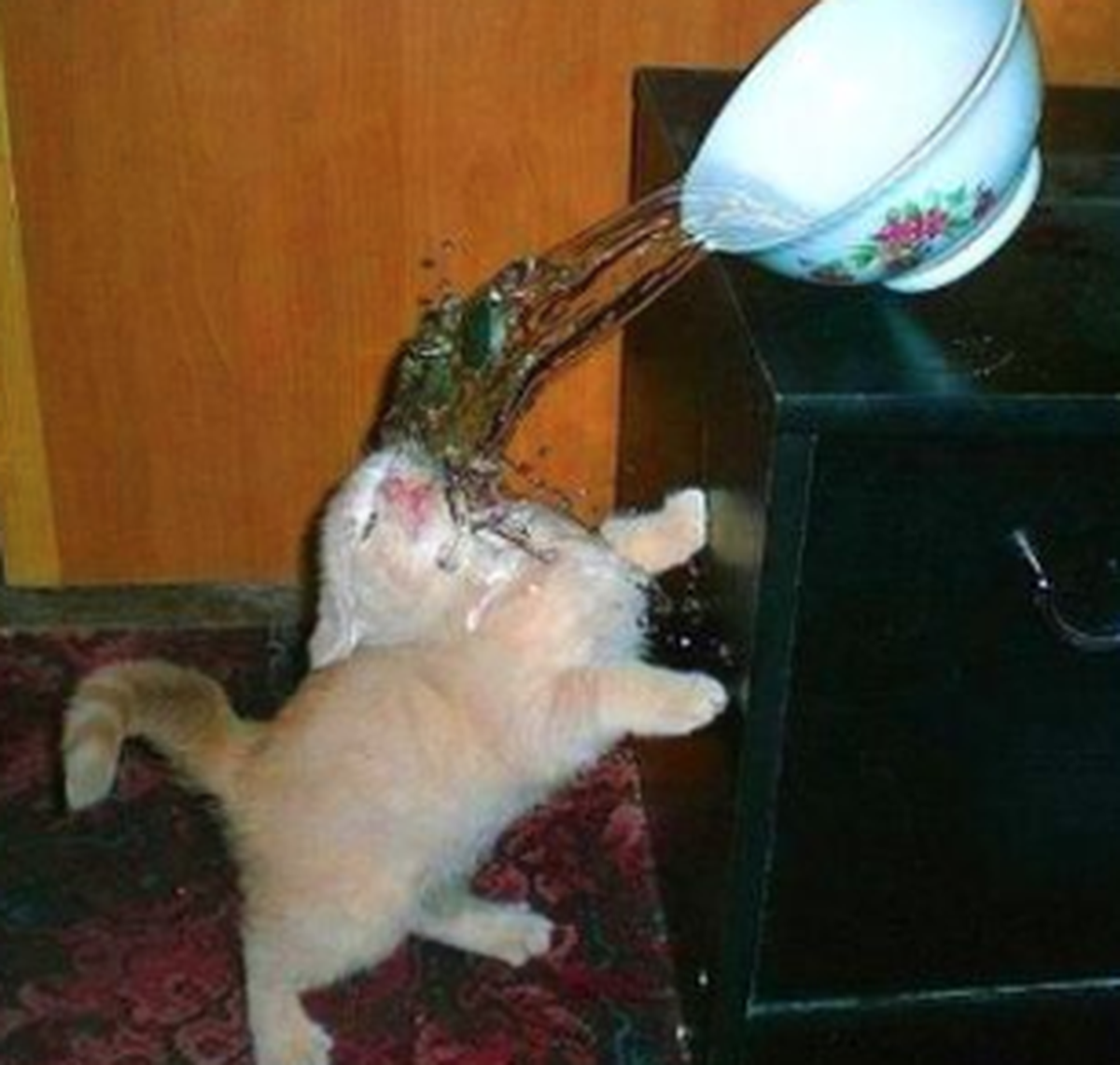 Tier Fails