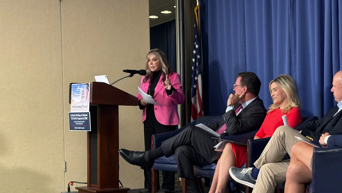 Psychiaterin Carole Lieberman: Sie stellt ihren Antrag in Washington vor.