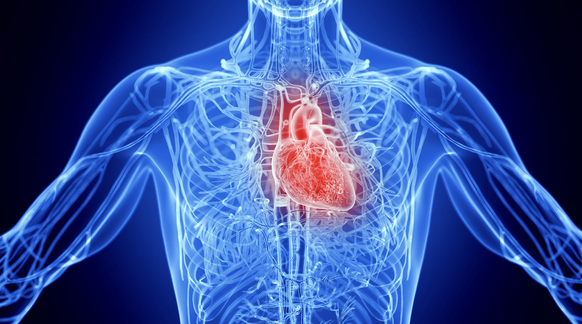 Gesdunheit Medizin Mensch Körper