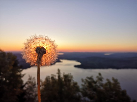 28 Mal zum richtigen Zeitpunkt geknipst – hier kommen unglaublich getimte Fotos
so wie bei nummer fünf☺️