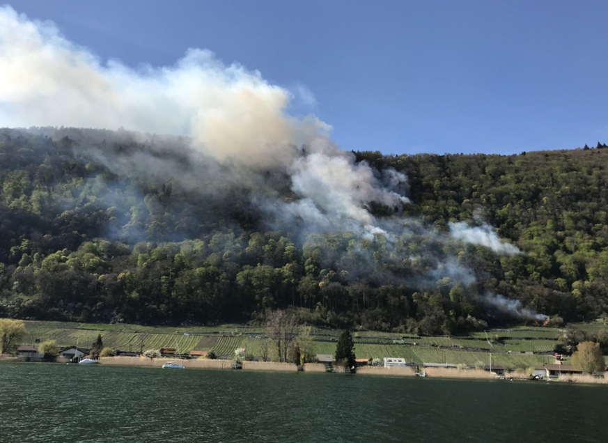 Ein Waldbrand breitete sich am Mittwochabend oberhalb des Bielersees aus.